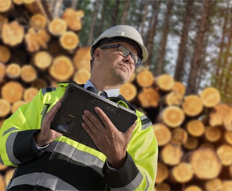 木业管理：「林木资源调查」